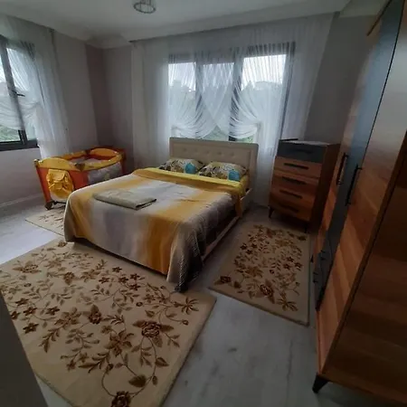 Arsin Comfort