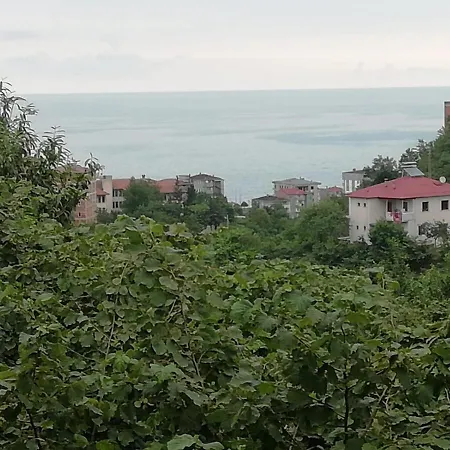 Arsin Comfort Villa Trabzon